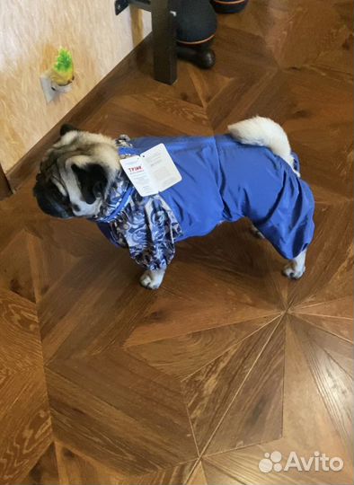 Дождевик для собак