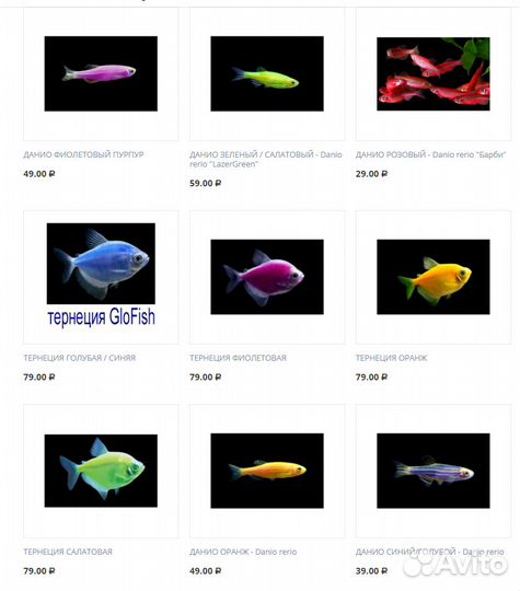 Glofish Глофиш тернеция данио барбус лабео