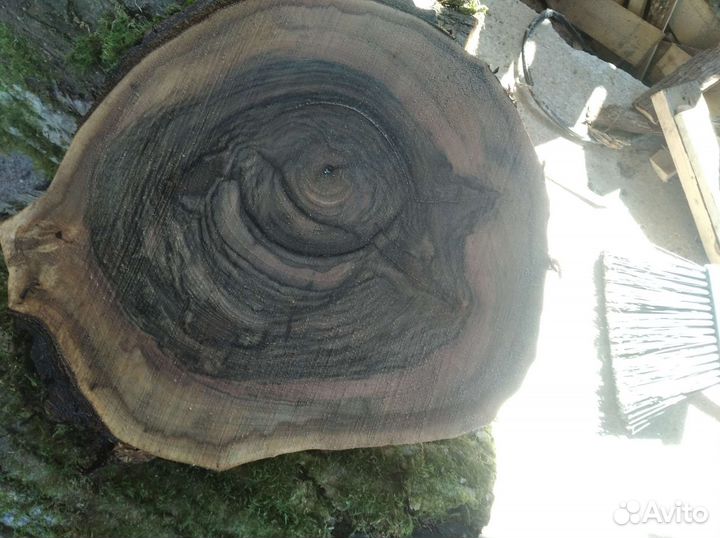 Спил слэб ореха