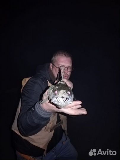 Водитель категории 