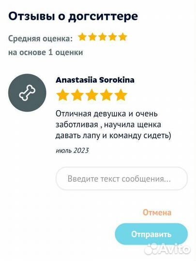 Догситтер, выгульщик собак, няня, кэтситтер