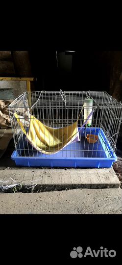 Продам клетку для хорька