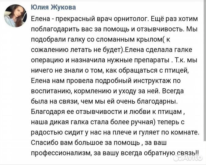 Врач-орнитолог - вызов, онлайн консультация
