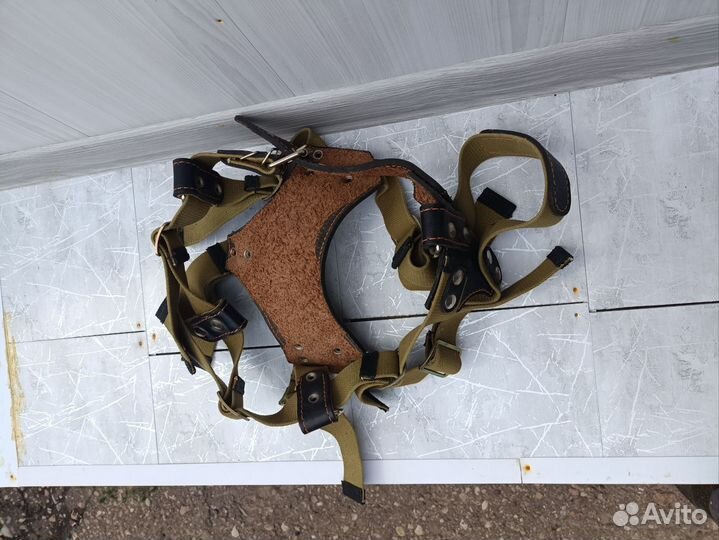 Упряжка для собак