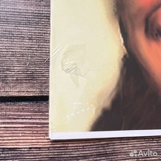 Aphex Twin - I Care Because You Do LP