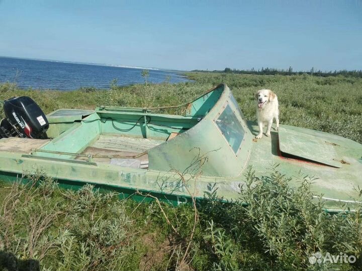 Мотор suzuki 30 с лодкой