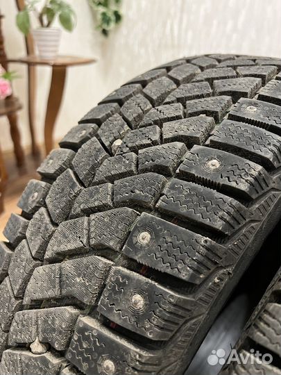 Viatti Bosco Nordico V-523 195/55 R15