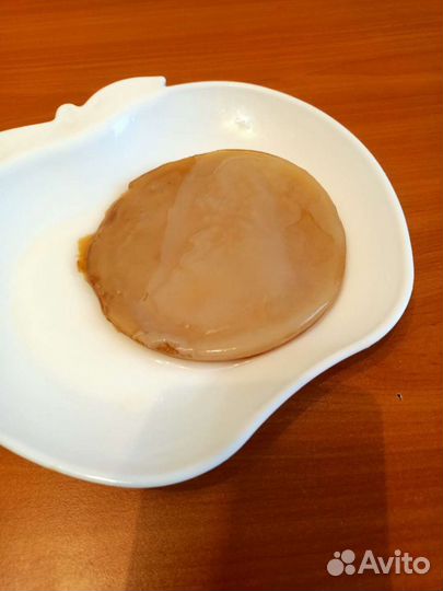 Чайный гриб