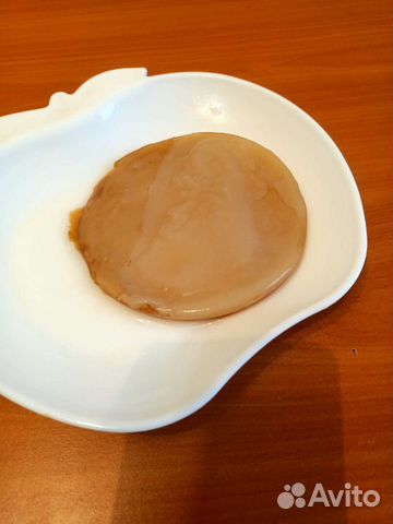 Чайный гриб