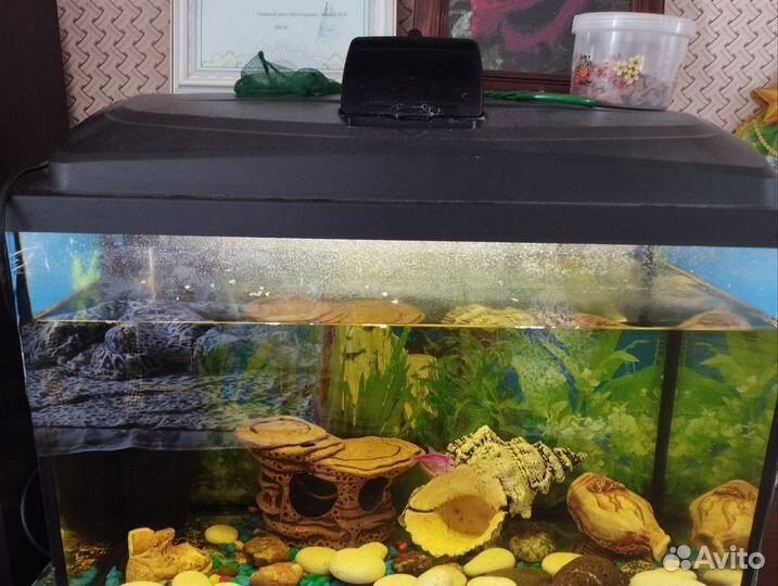 Аквариум 80 литров