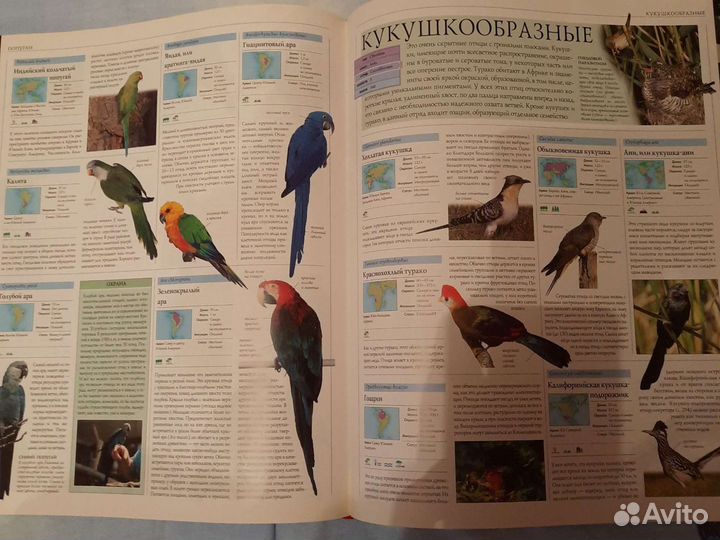 Иллюстрированная энциклопедия животных всего мира