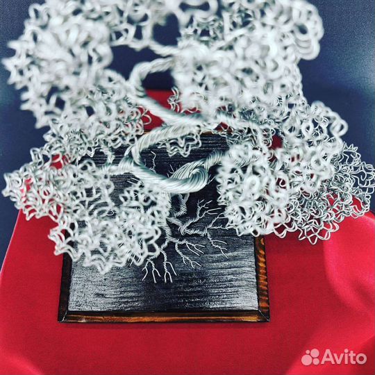 Дерево бонсай