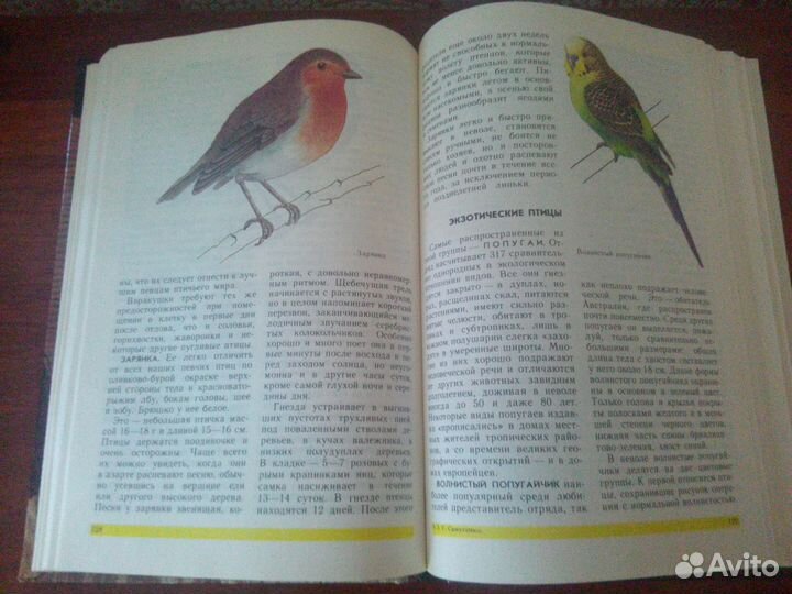 Пернатые/Террариум/ Кошки/собаки