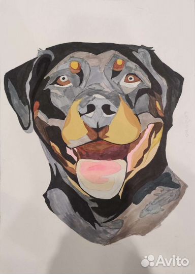 Графический дизайнер