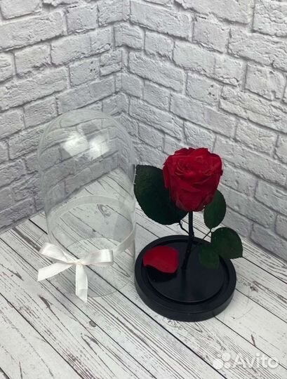 Роза в колбе