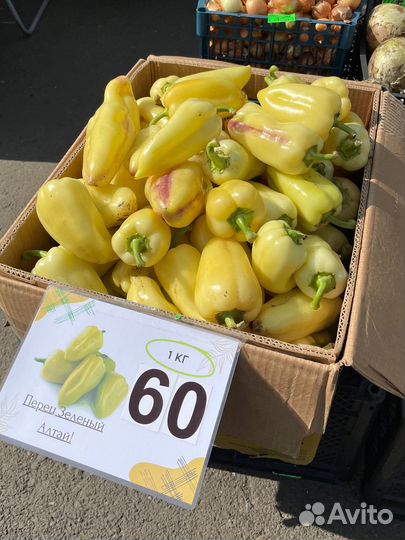 Перец болгарский желтый