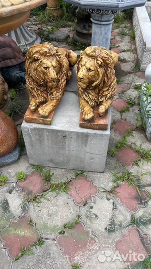 Лев лежачий