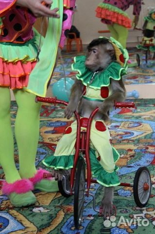 Наши Праздники-Для Детей