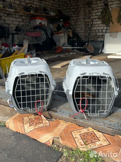 Переноска для кошек