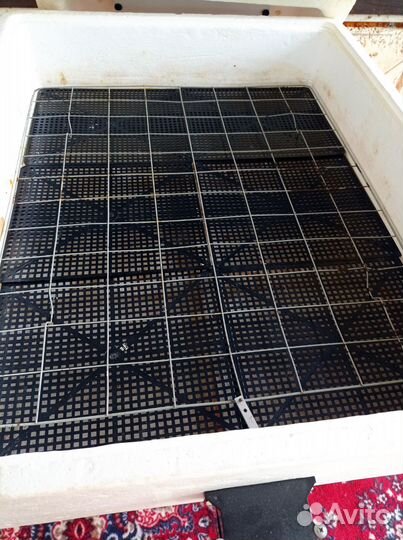 Инкубатор для яиц автоматический бу