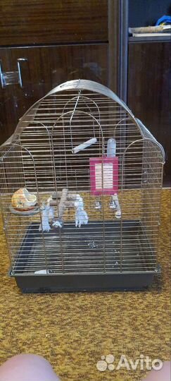 Клетка для среднего попугая
