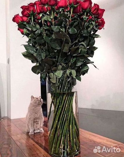 Высокие розы Букеты с доставкой