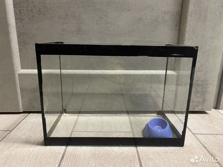 Вещи для хомяка