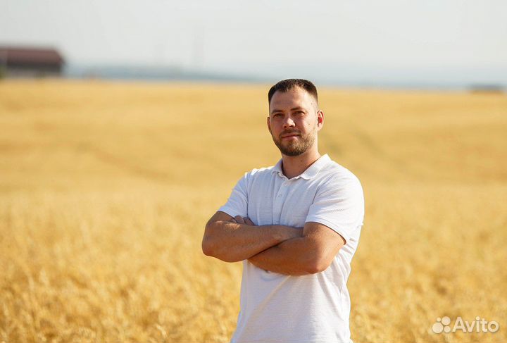 Эксперт по земле. Земля от государства(оформление)