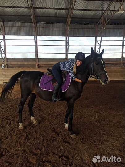 Вальтрап и ушки для лошади