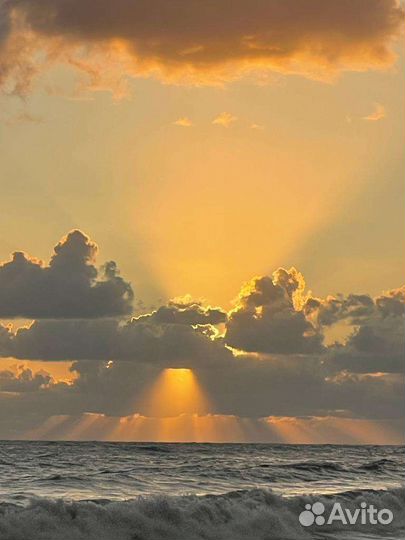 Выход в море прогулка