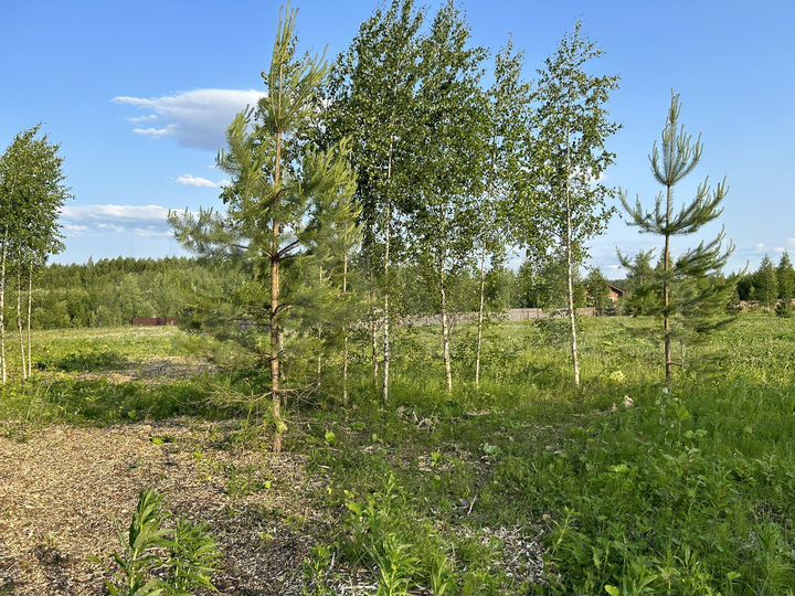 Участок 20 сот. (ИЖС)