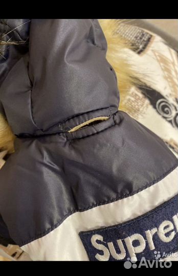 Одежда для собак