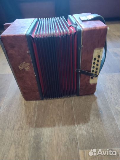 Гармонь Кубань