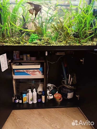 Аквариум