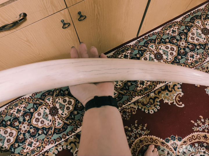 Клык(бивень) моржа(имитация)