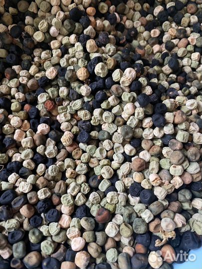 Семена сопдкого горошка