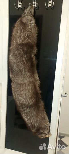 Шкурка животного