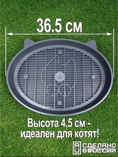 Лоток для котят