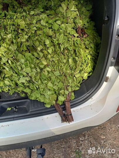 Березовые веники