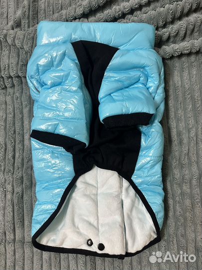 Собачьи вещи