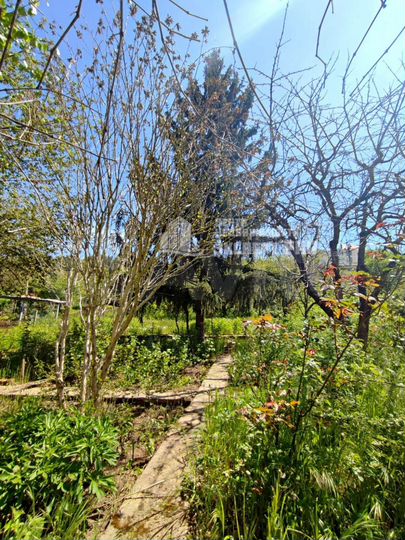 Дача 100 м² на участке 12 сот.