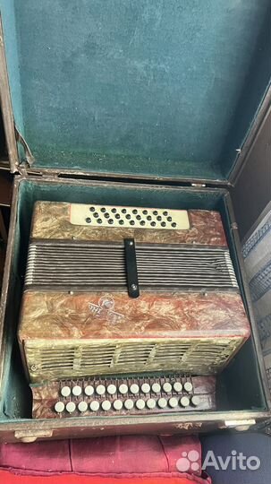 Гармонь Кубань