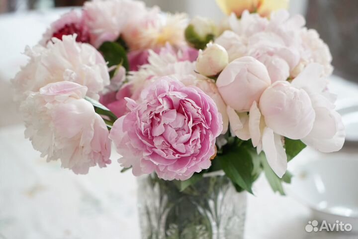 Цветы на срезку