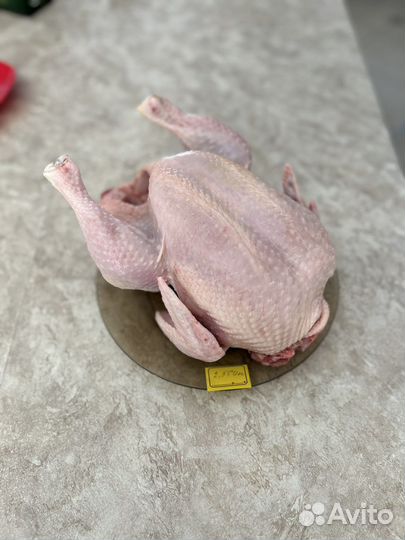 Куры бройлеры мясо