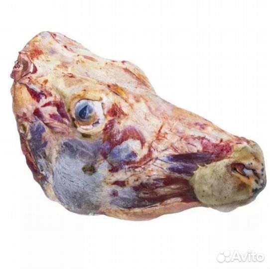 Голова говяжья