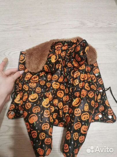 Курточка для тойчика