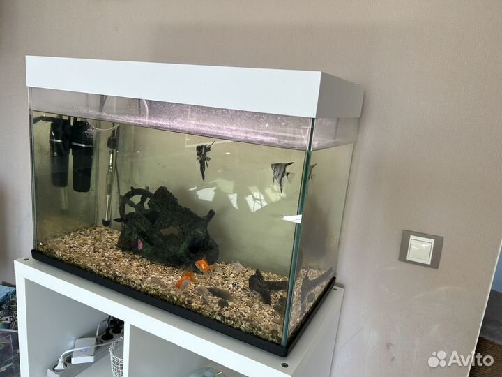 Аквариум на 120 литров