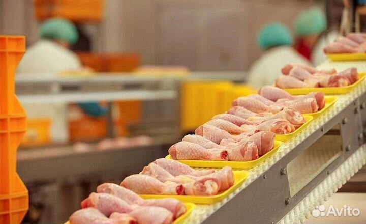 Упаковщики на птицефабрику вахта