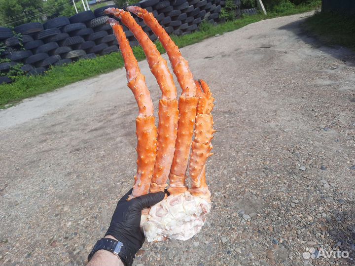 Раки,Крабы, креветки,моллюски, полуфабрикаты и т.д