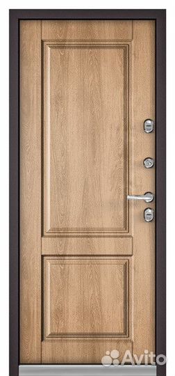 Дверь входная железная